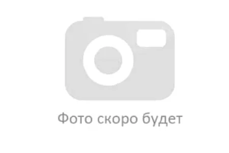 Что делать с монетой после её изъятия из земли