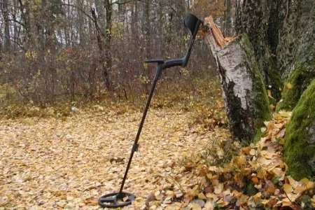 Поиск с металлоискателем: как, где, что необходимо учесть. От покупки до находки