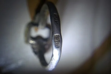 АКА Сорекс Про, как нашёл серебряное кольцо